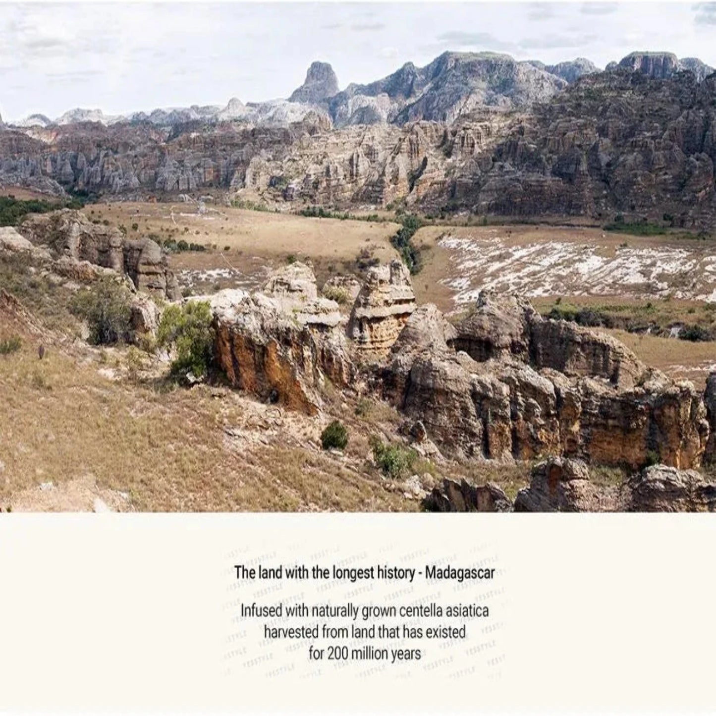 Gentle SKIN1004 Madagascar Centella Light Cleansing Oil with centella asiatica and nourishing botanical oils. This effective cleansing oil effortlessly removes makeup, impurities, and excess oil while soothing and hydrating the skin. Ideal for all skin types, it promotes a clear, radiant complexion and leaves skin feeling soft and refreshed.