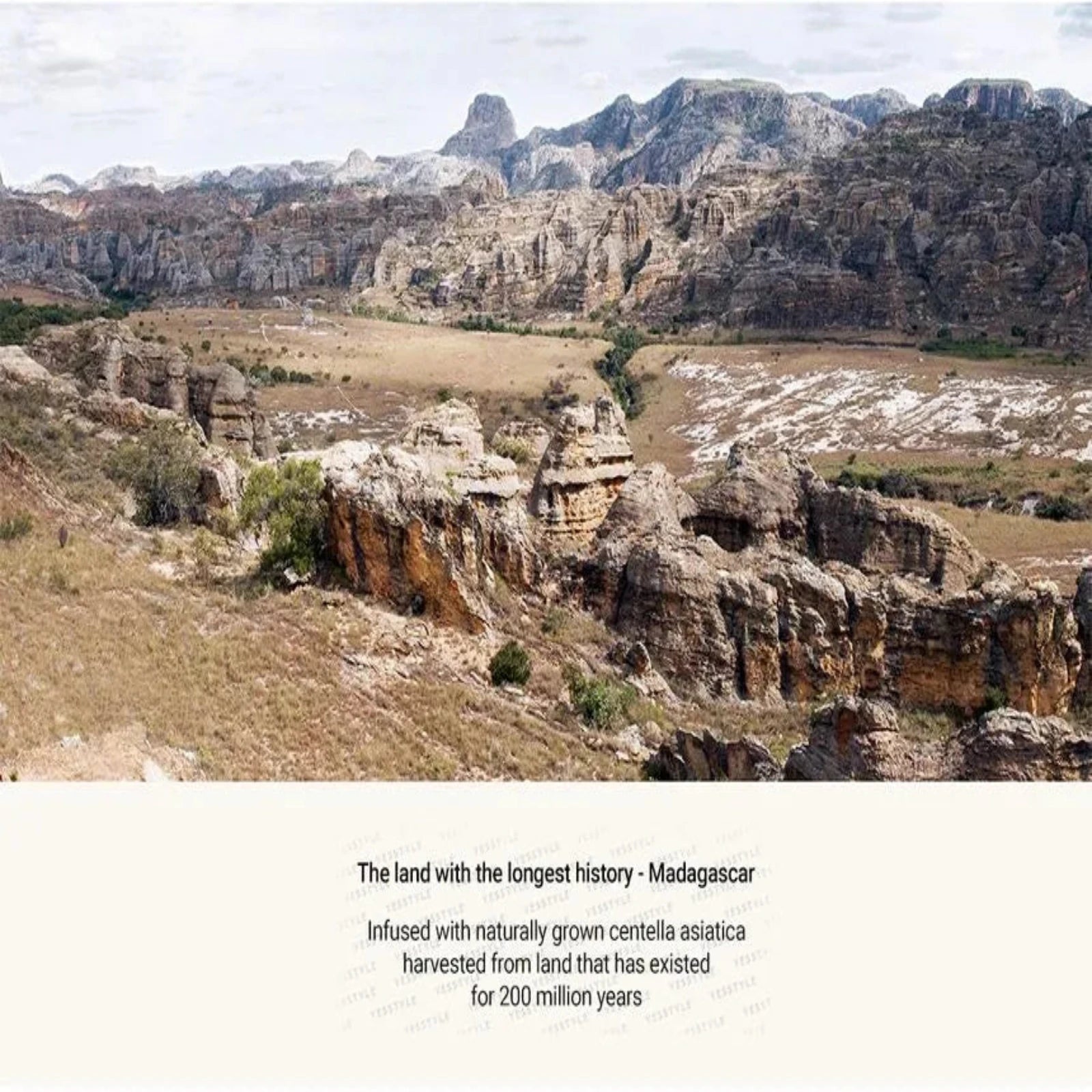 Gentle SKIN1004 Madagascar Centella Light Cleansing Oil with centella asiatica and nourishing botanical oils. This effective cleansing oil effortlessly removes makeup, impurities, and excess oil while soothing and hydrating the skin. Ideal for all skin types, it promotes a clear, radiant complexion and leaves skin feeling soft and refreshed.